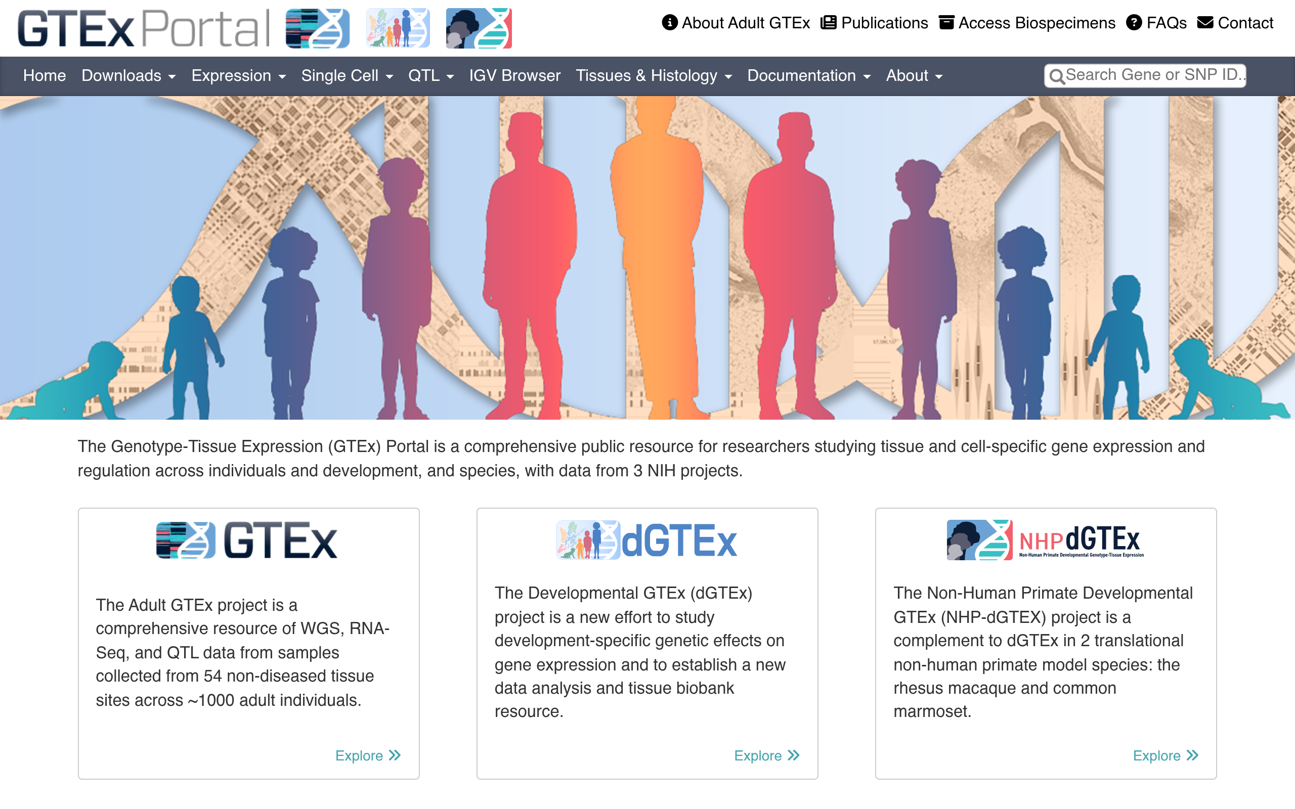 GTExportal 预览